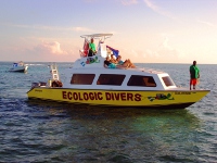 Dive Boat